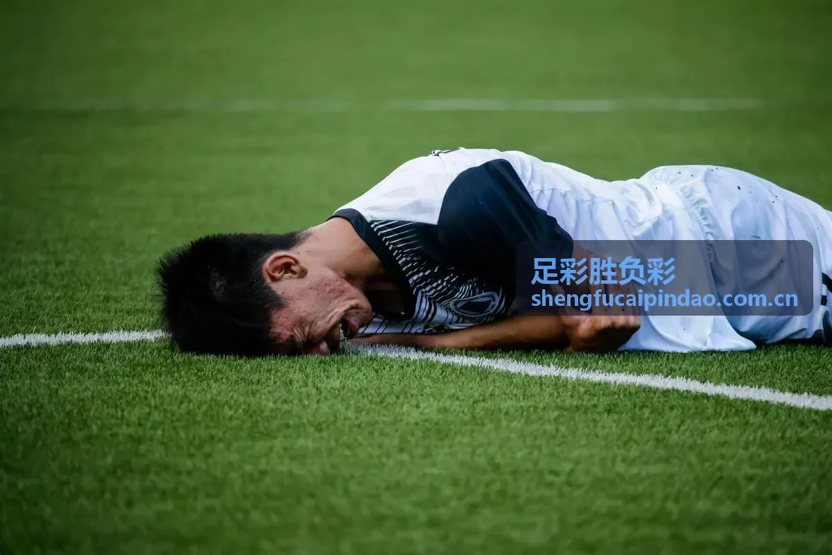 胜负彩奖金计算